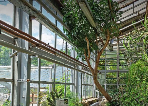 Зимний сад в городском парке в Долгопрудном